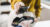 retail’s-next-move:-inside-the-payment-strategies-driving-us.-small-business-success