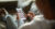 how-smart-brands-orchestrate-authentic-experiences-that-convert